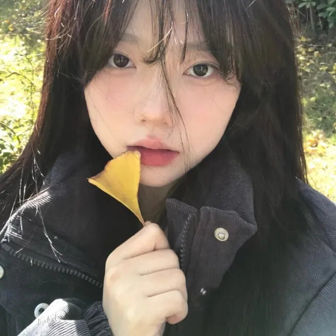 大虎鲨